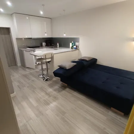 Comfortable Studio Only 20 Minutes From International Conference Center Katowice Best Place For Wuf2022 Eec Tnf Off Etc Siemianowice Śląskie Zewnętrze zdjęcie